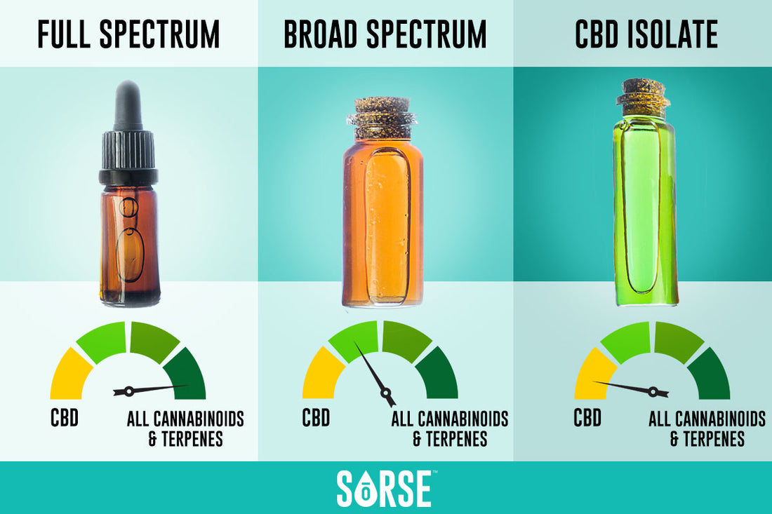 CBD Isolate vs Full Spectrum vs Broad Spectrum