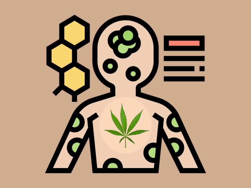 Unlocking the Mysteries of the Endocannabinoid System