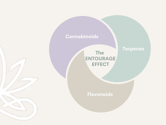 Entourage Effect Explained - Do You Need THC?