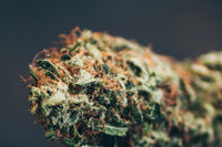 Blue Dream vs Pineapple Express