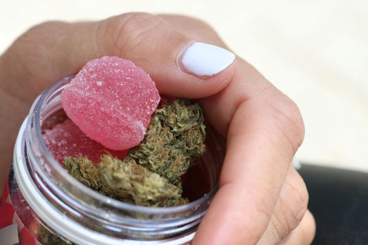 thc gummies for beginners