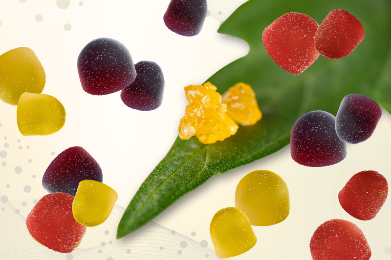 Not Your Average Edible