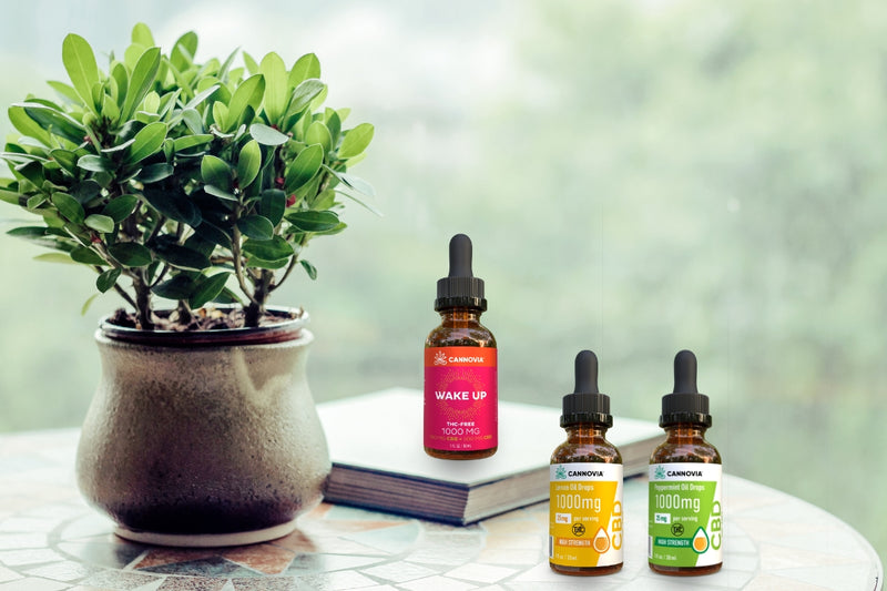 WHAT IS THE DIFFERENCE BETWEEN CBD ISOLATE AND FULL SPECTRUM CBD?