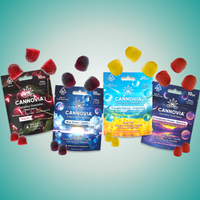 Fantastic Four Expedition