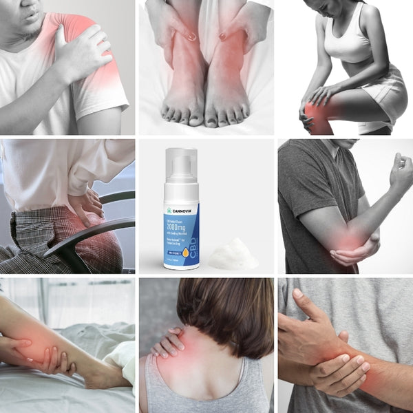 Cannovia Buy Premium CBD And THC Products Online Cannovia Buy Premium CBD And THC Products Online