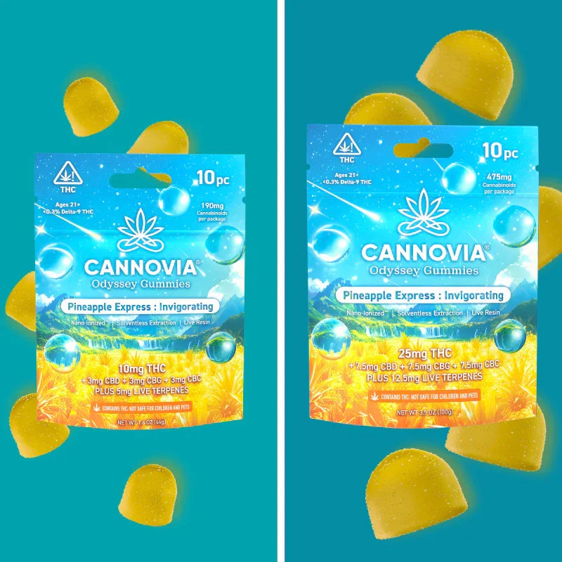 Pineapple Express Live Resin THC Gummies 10mg THC | 25mg THC