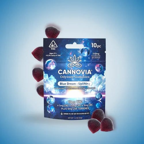 Blue Dream Odyssey Gummies