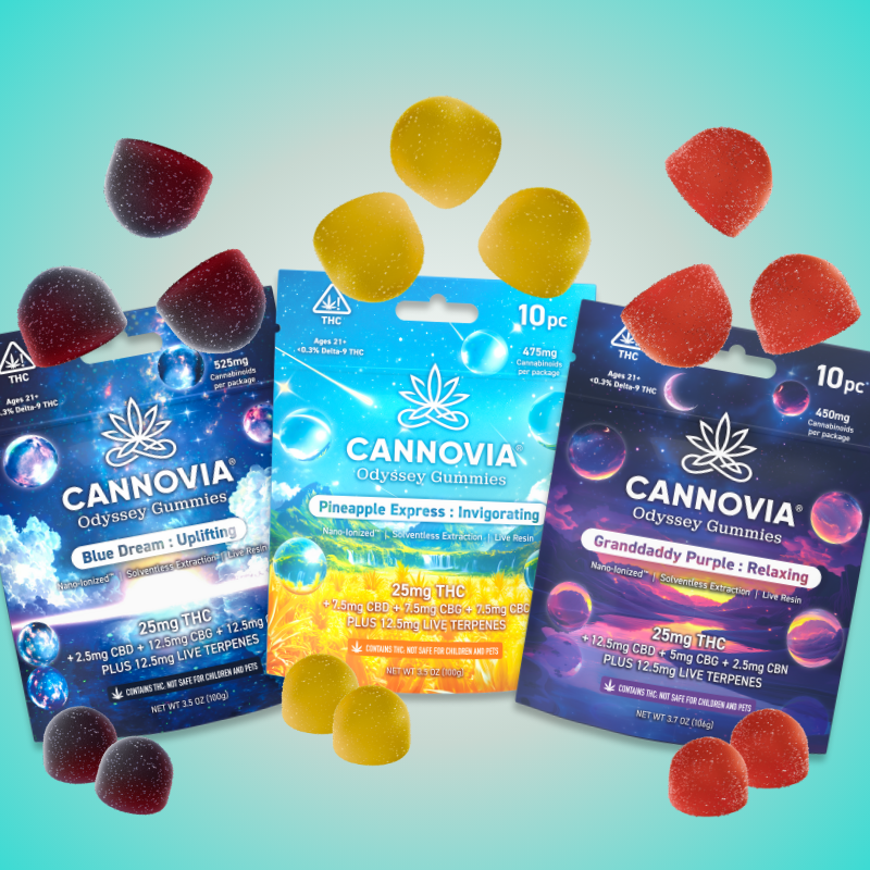 Odyssey Adventure – Cannovia