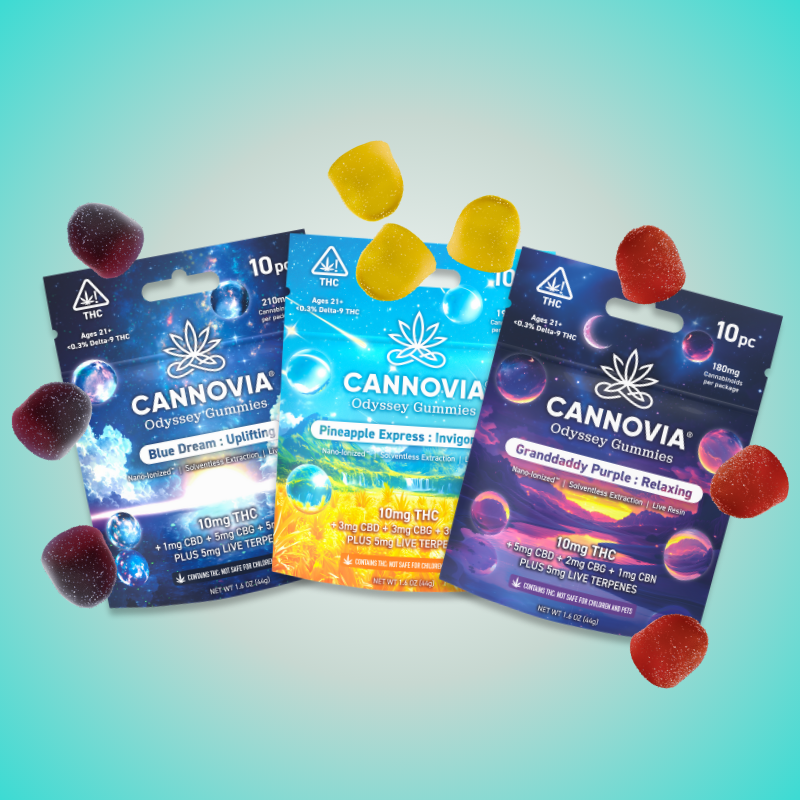 Odyssey Adventure – Cannovia