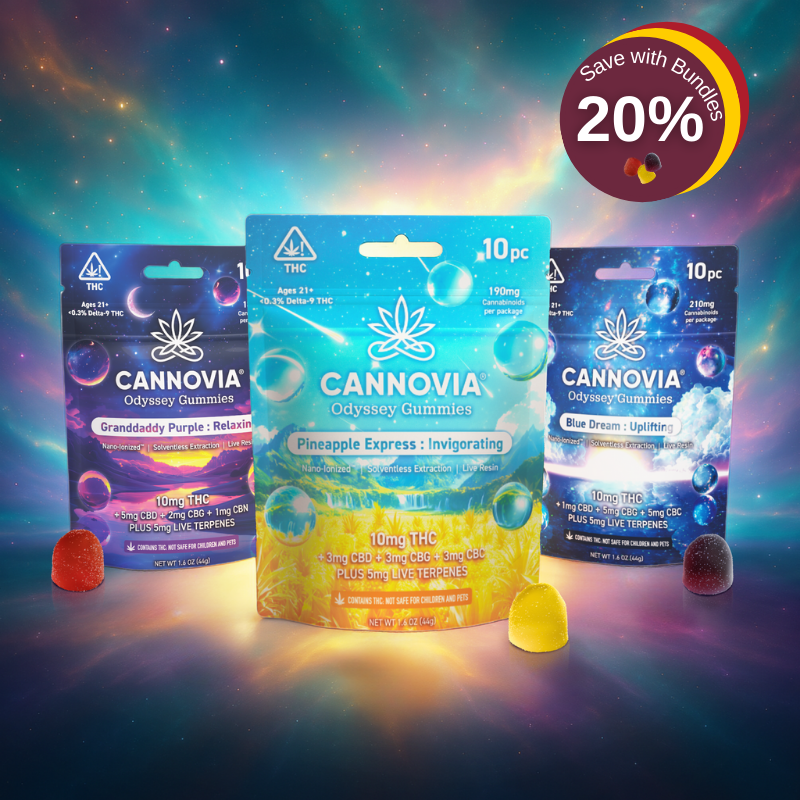 Odyssey Adventure – Cannovia