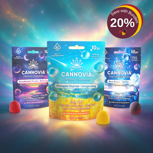 Odyssey Adventure – Cannovia