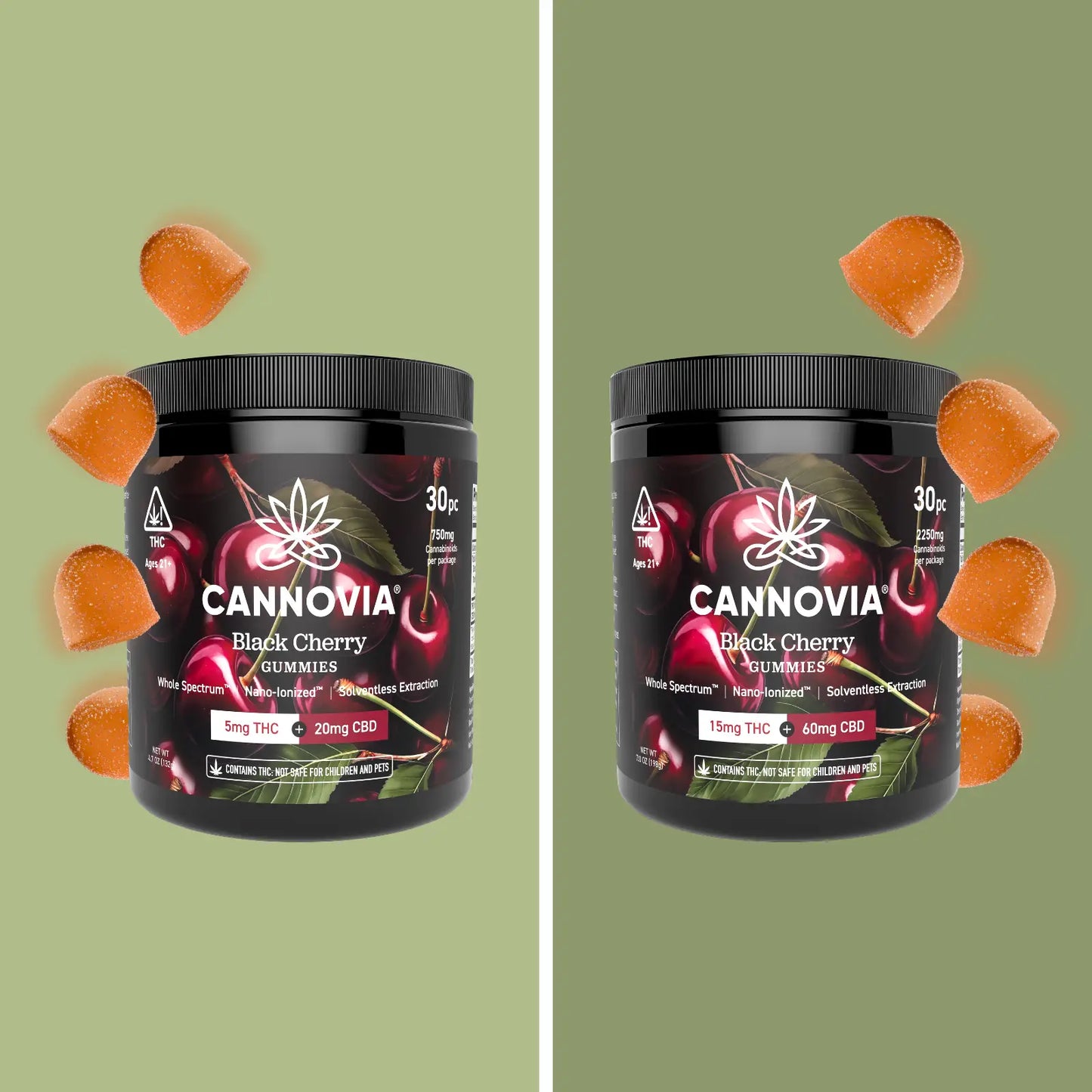 Harmony THC+CBD Gummies