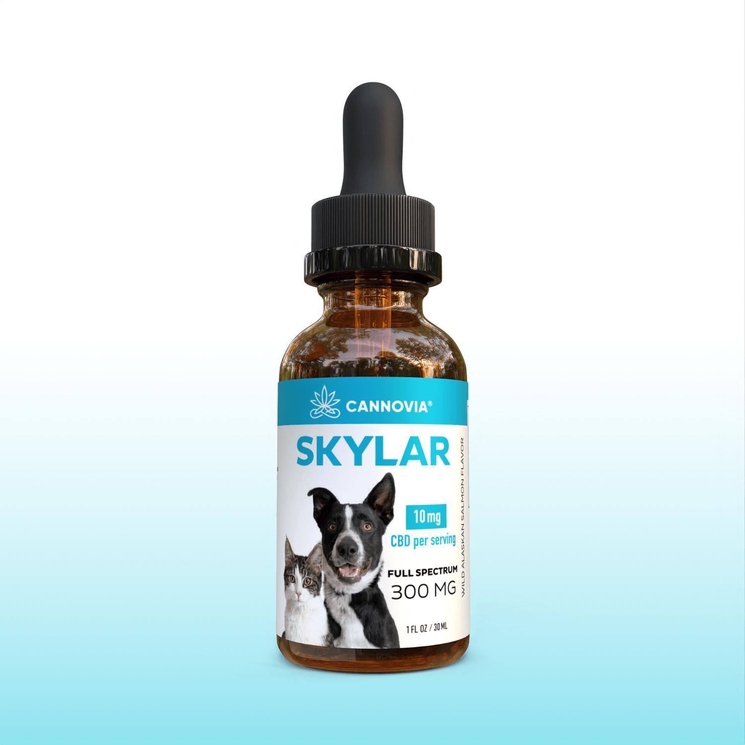 CBD Oil for Pets