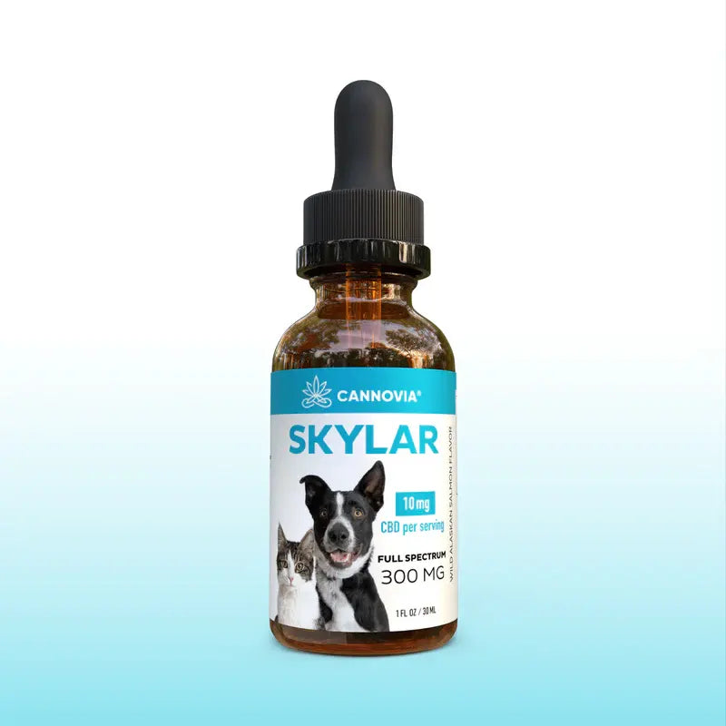 CBD For Dogs