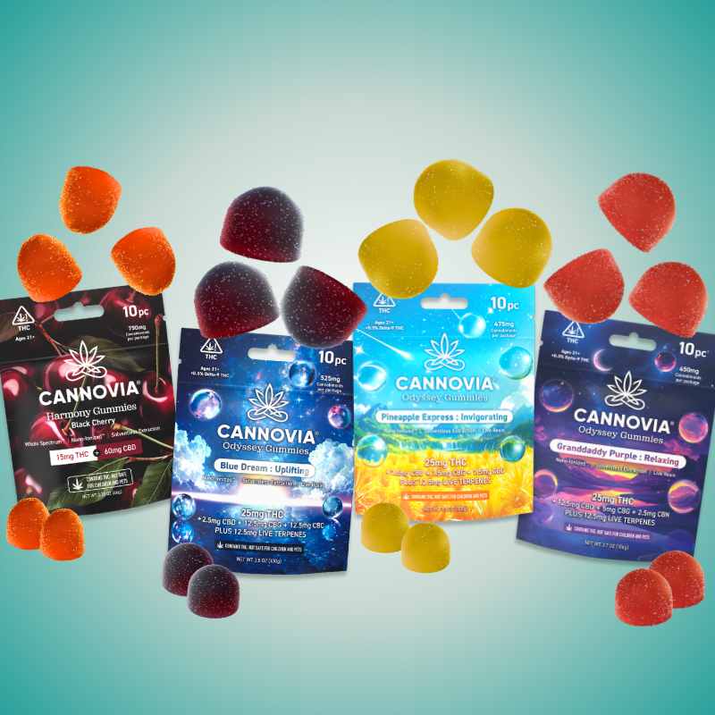 Fantastic Four Expedition