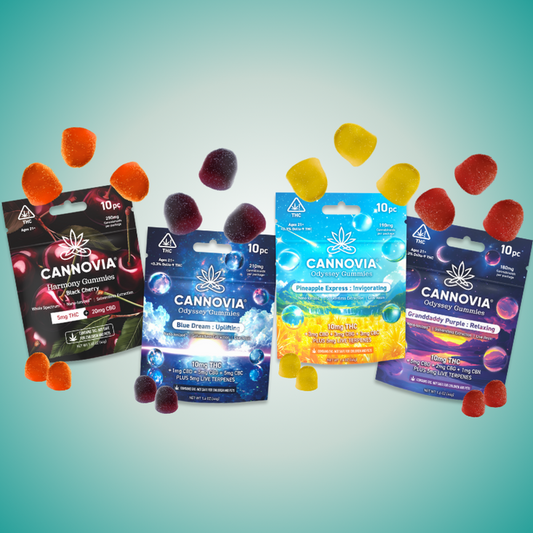 Fantastic Four Expedition