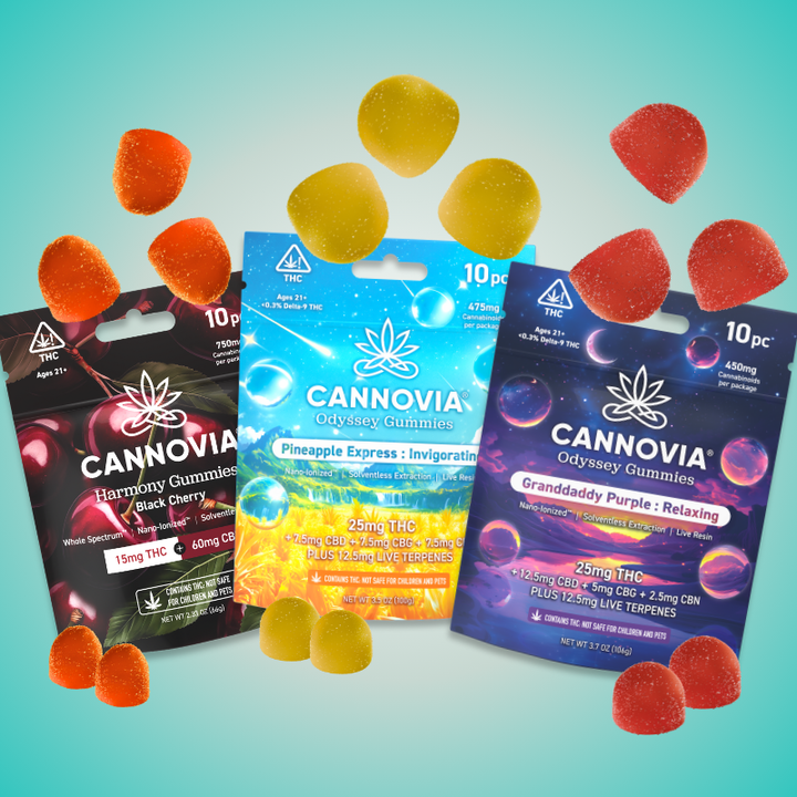 Harmonious Exploration – Cannovia