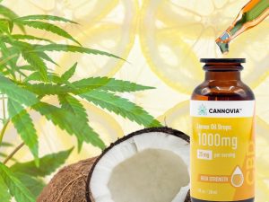 Mixing CBD Oil and MCT Oil: The A-Team of Health 3 Bottle of Cannovia Full Spectrum Lemon CBD Oil with MCT carrier oil
