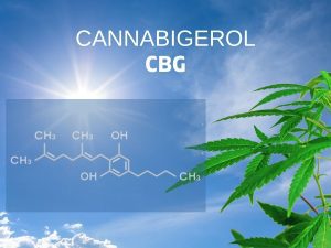 The Ultimate Showdown: CBG vs CBN - Which Cannabinoid is Right for You? 2 Chemical structure of CBG (cannabigerol).